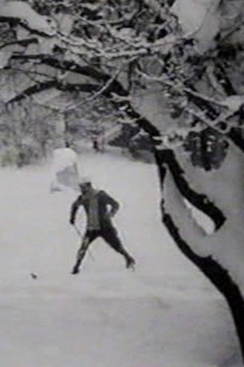 Movie poster for Max Skiing (1910)