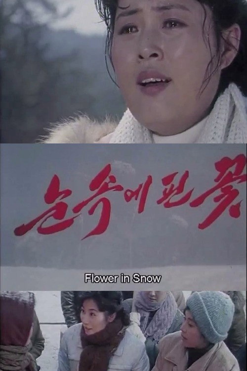 Movie poster for Flower in Snow (2011)