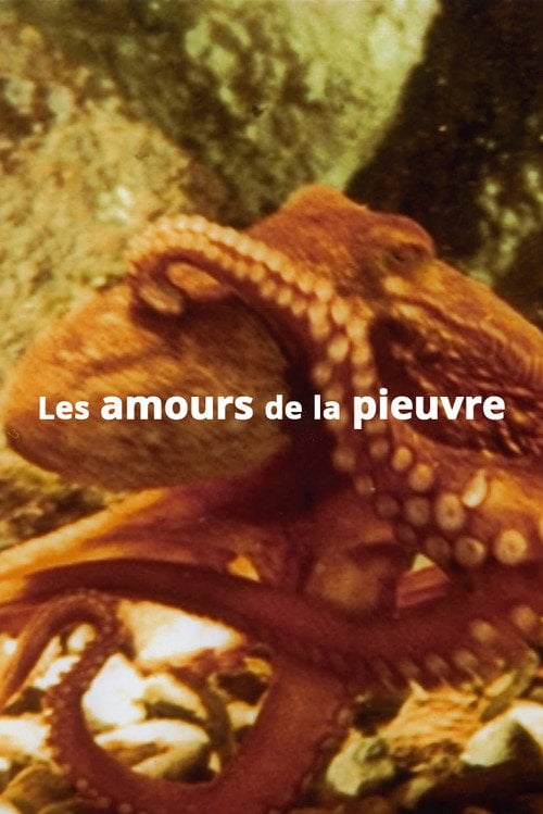 Movie poster for The Love Life of an Octopus (1967)