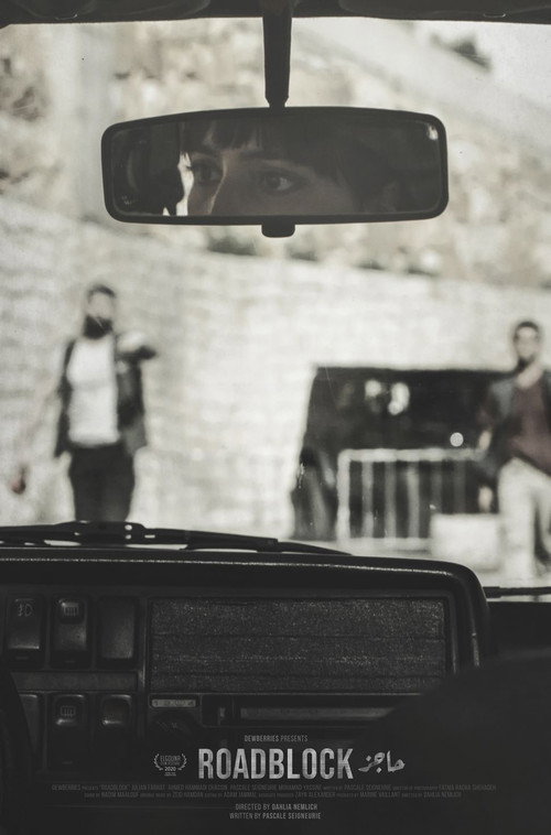 Movie poster for Roadblock (2020)