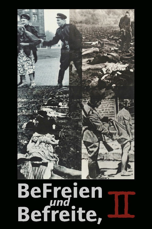 Movie poster for Liberators Take Liberties, part 2 (1992)