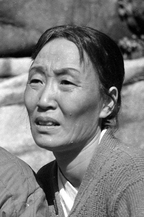 Photo of Song Mi-nam, Acting