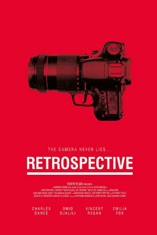 Movie poster for Retrospective (2014)