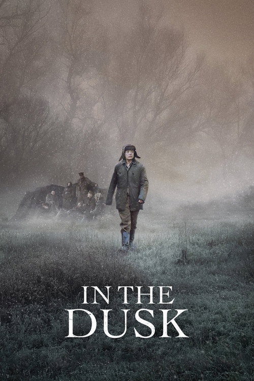 Movie poster for In the Dusk (2019)