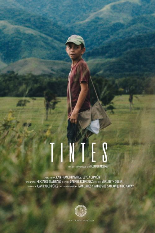 Movie poster for Tintes (2024)