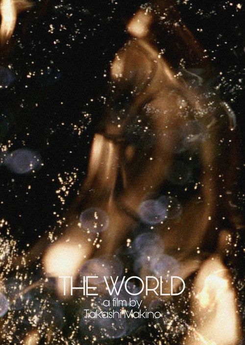 Movie poster for The World (2009)