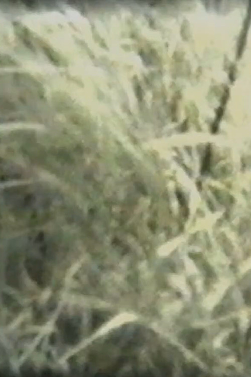 Movie poster for Grass (1967)