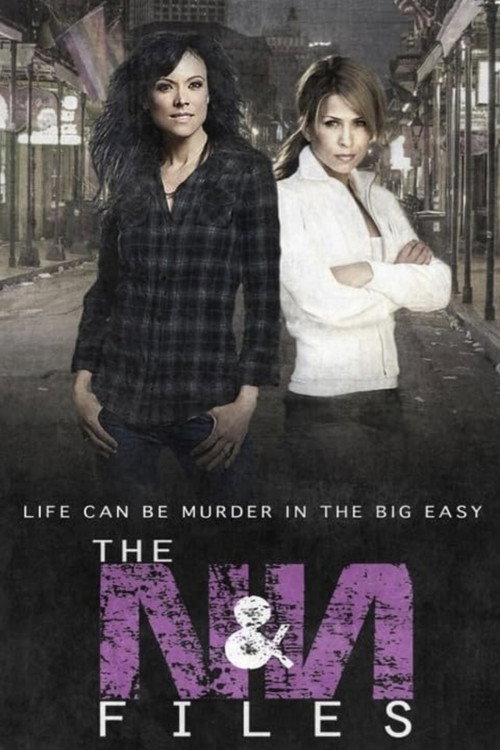 Nikki & Nora: The N&N Files poster