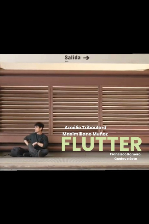 Movie poster for Flutter (2024)