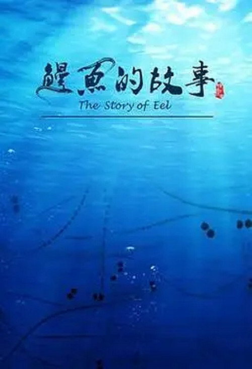 鳗鱼的故事 poster
