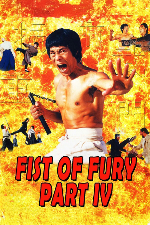 Movie poster for Return of Dragon (1998)