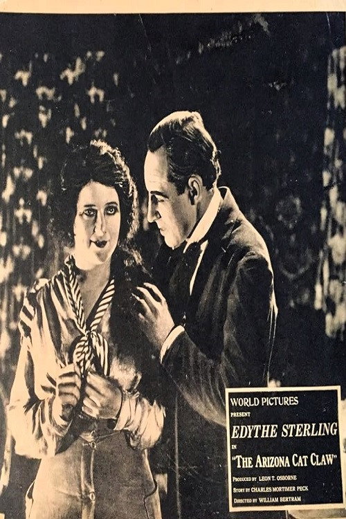Movie poster for The Arizona Cat Claw (1919)