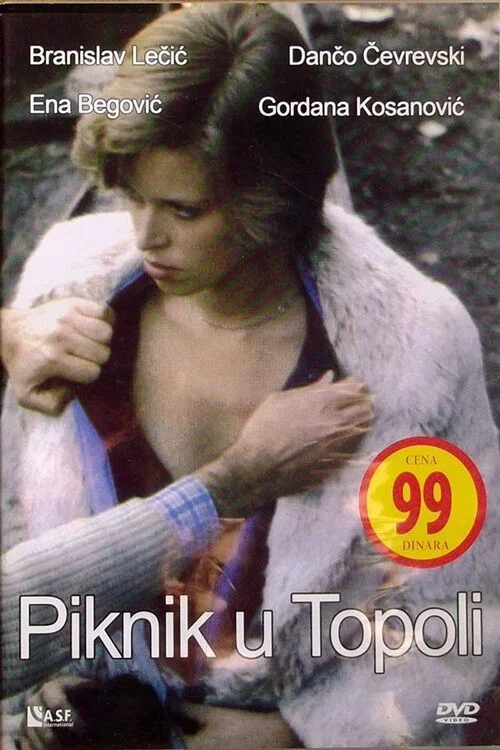 Movie poster for Picnic in Topola (1981)