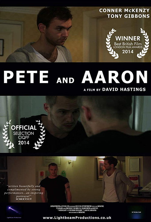 Movie poster for Pete and Aaron (2014)