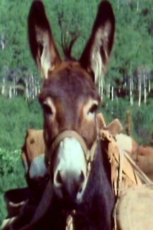 Photo of Number Seven, Acting