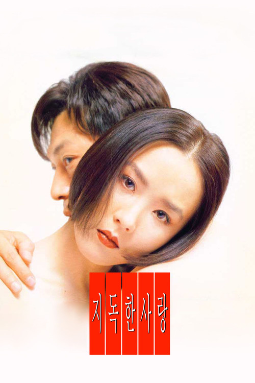 Movie poster for Their Last Love Affair (1996)
