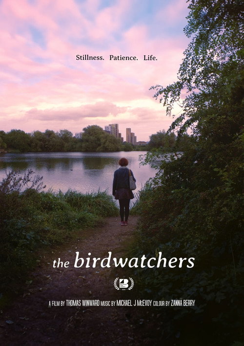 Movie poster for The Birdwatchers (2025)