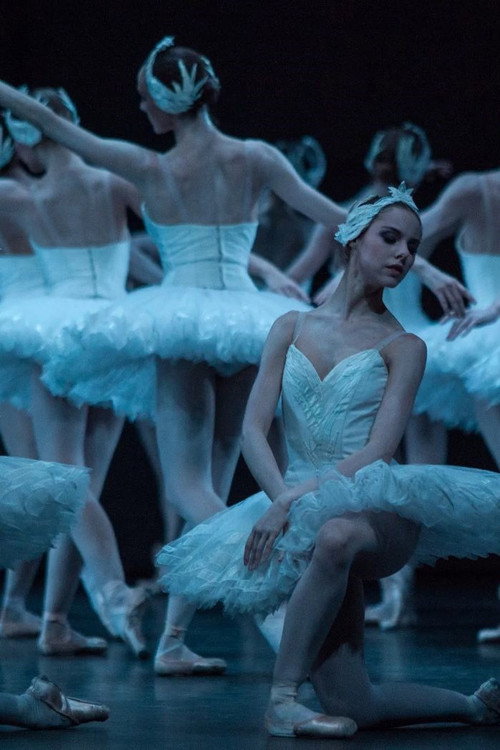 Movie poster for Swan Lake - The Australian Ballet