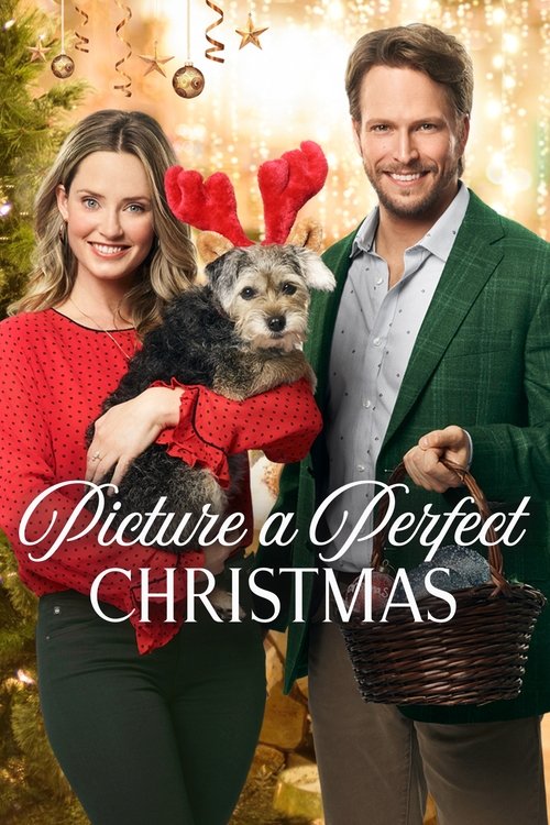Movie poster for Picture a Perfect Christmas (2019)