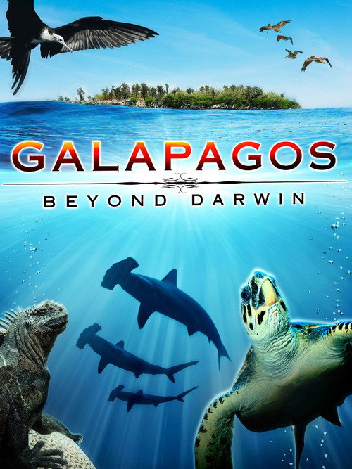 Movie poster for Galapagos: Beyond Darwin (1996)
