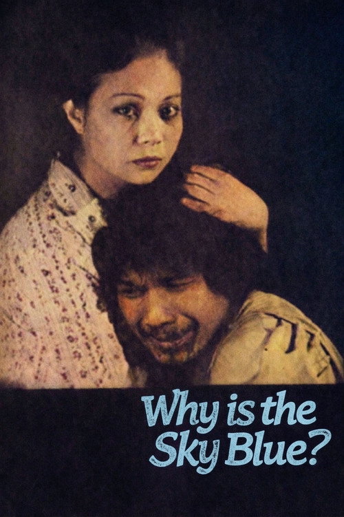 Movie poster for Why Is the Sky Blue? (1981)