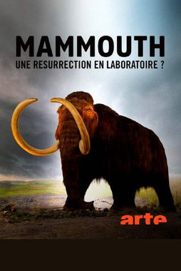 Movie poster for Ein Mammut-Projekt – Wiedergeburt ausgestorbener Arten (2024)
