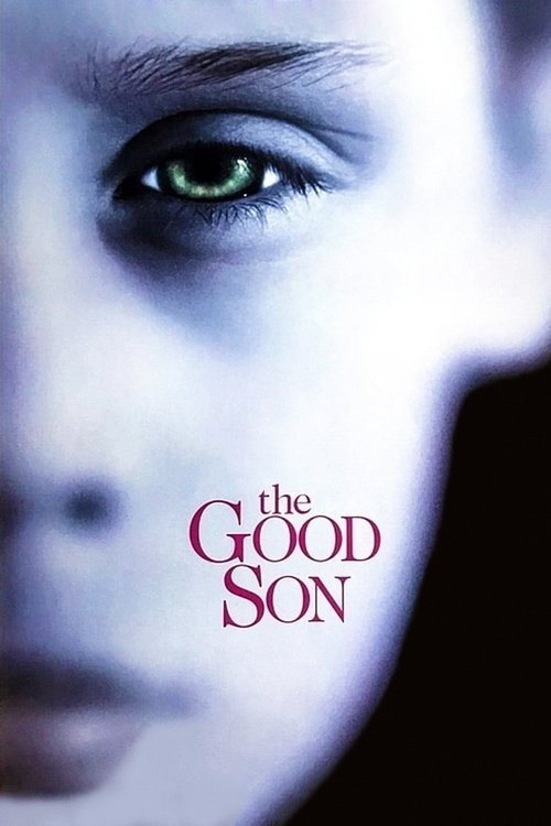 Movie poster for The Good Son (1993)