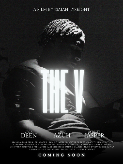 Movie poster for The V