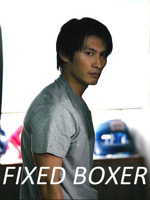 Movie poster for Fixed Boxer