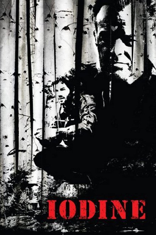 Movie poster for Iodine (2009)