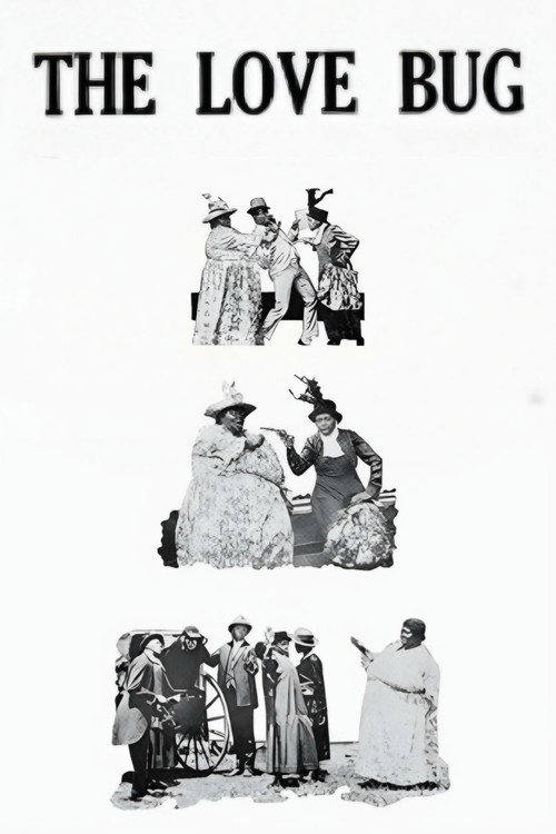 Movie poster for The Love Bug (1919)