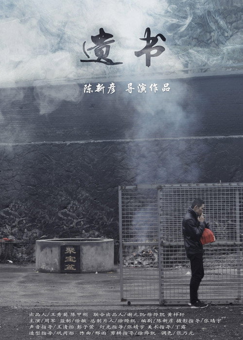 Movie poster for Testament (2019)