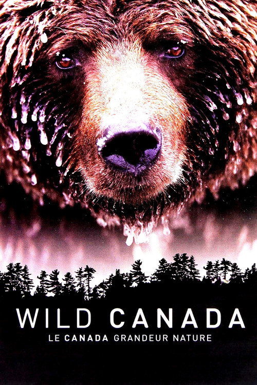 Movie poster for Wild Canada (2014)
