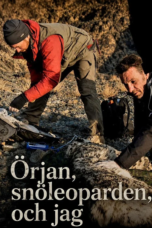 Movie poster for Örjan, snöleoparden och jag (2013)