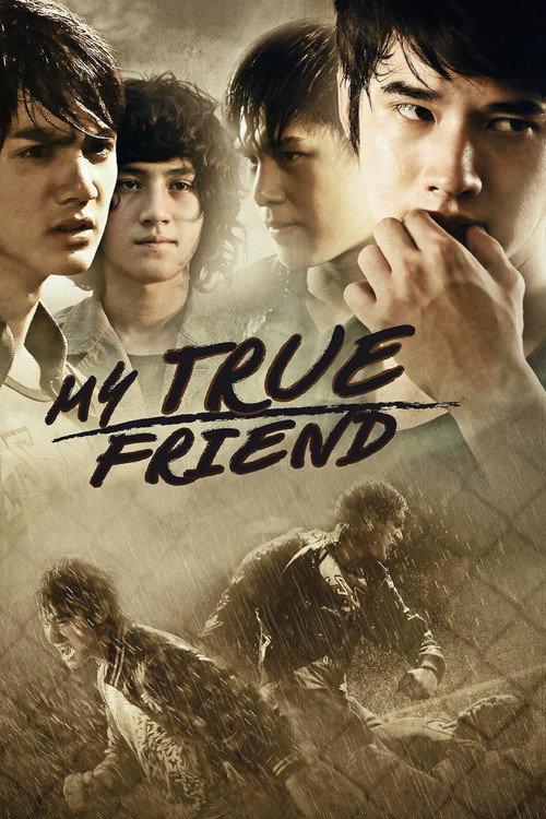 Movie poster for My True Friend (2012)