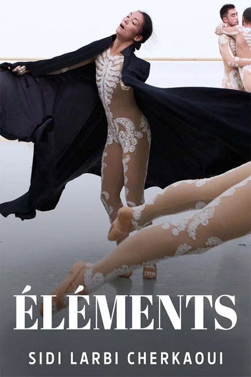 Movie poster for Éléments (2023)