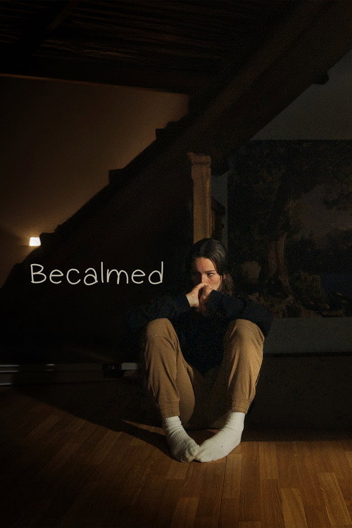 Movie poster for Becalmed (2024)