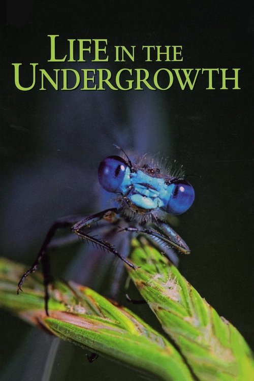 Series poster for Life in the Undergrowth (2005)