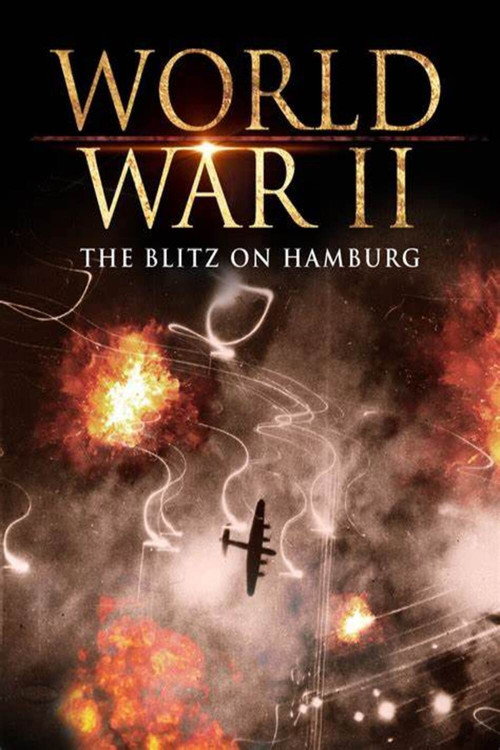 Movie poster for World War II: The Blitz on Hamburg (2009)
