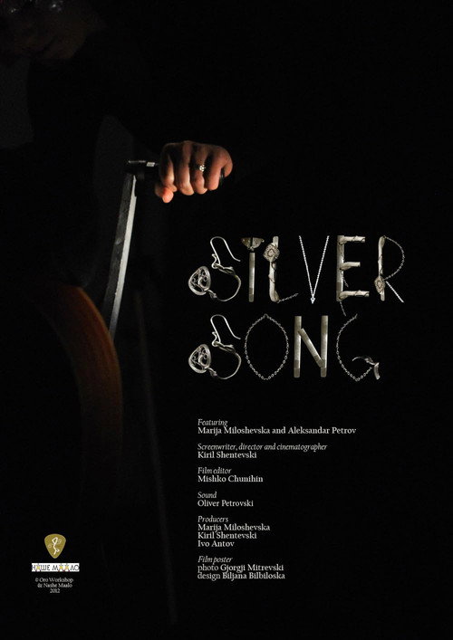 Movie poster for Silver Song (2013)