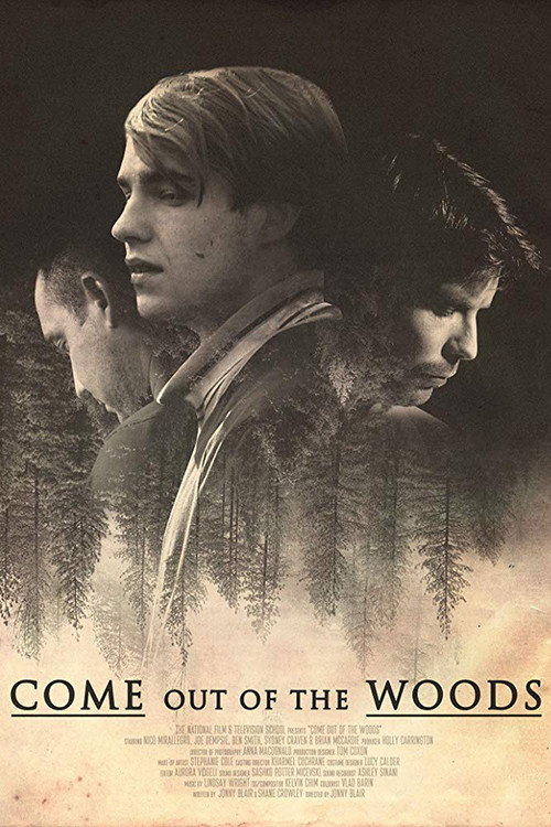 Movie poster for Come Out of the Woods (2017)