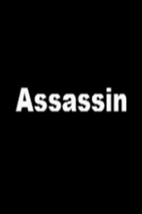 Movie poster for Assassin (2003)