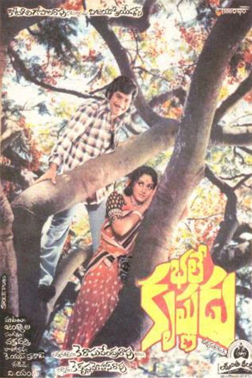 Movie poster for Bhale Krishnudu (1980)