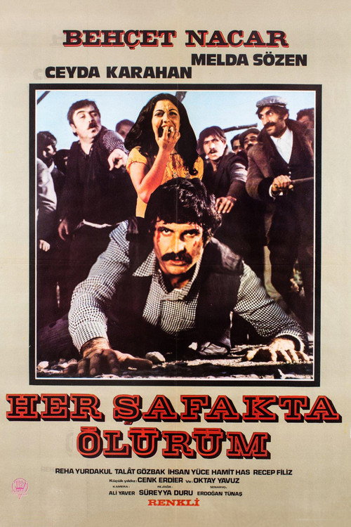 Movie poster for Her Şafakta Ölürüm (1972)