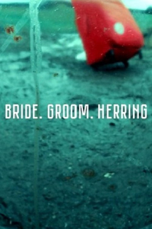 Movie poster for Bride. Groom. Herring (2020)