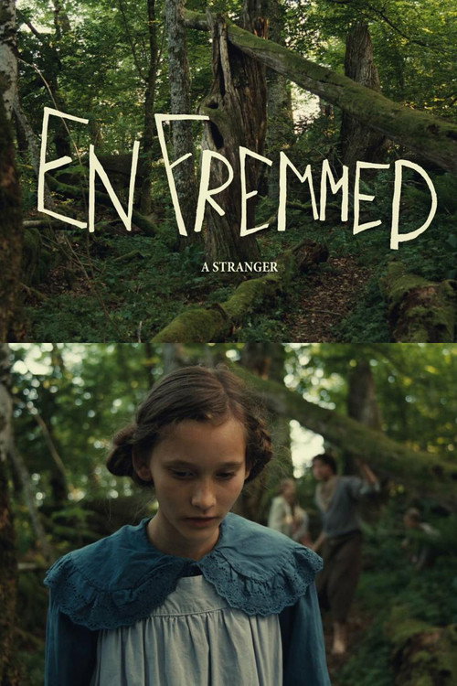 Movie poster for A Stranger (2014)