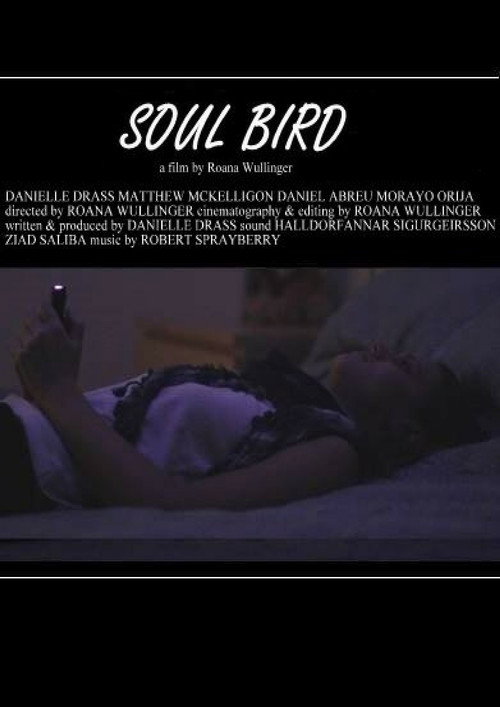 Movie poster for Soul Bird (2014)