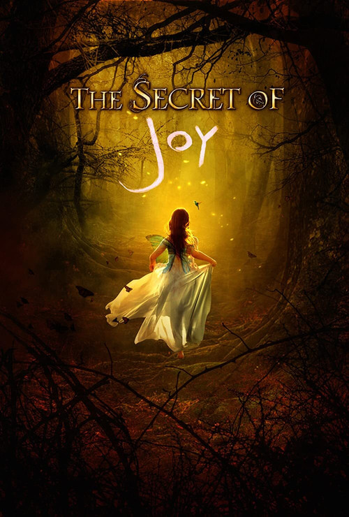 Movie poster for The Secret of Joy (2016)