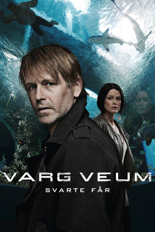 Movie poster for Varg Veum - Black Sheep (2011)