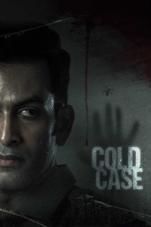 Movie poster for Cold Case (2021)